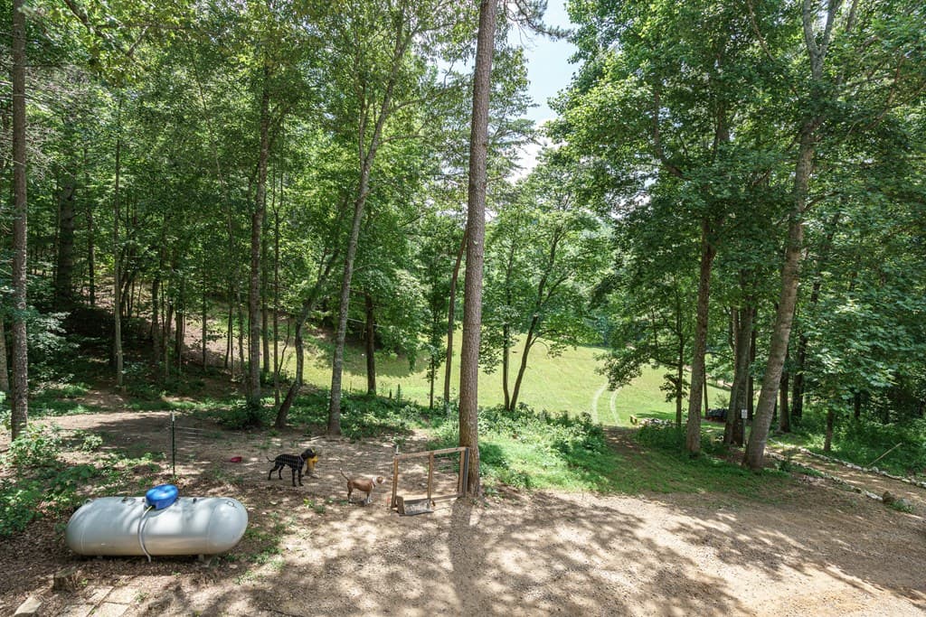 860 Holly Road, Murphy NC 28905 - Photo