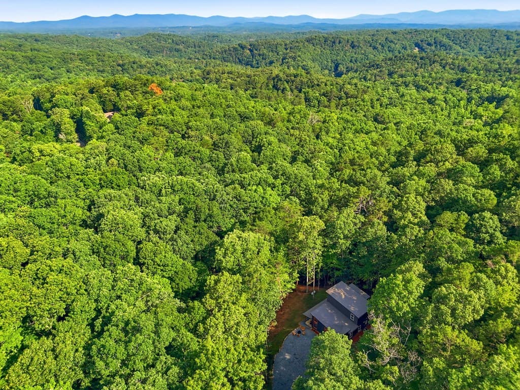 202 Jonquil Lane, Ellijay GA 30540 - Photo