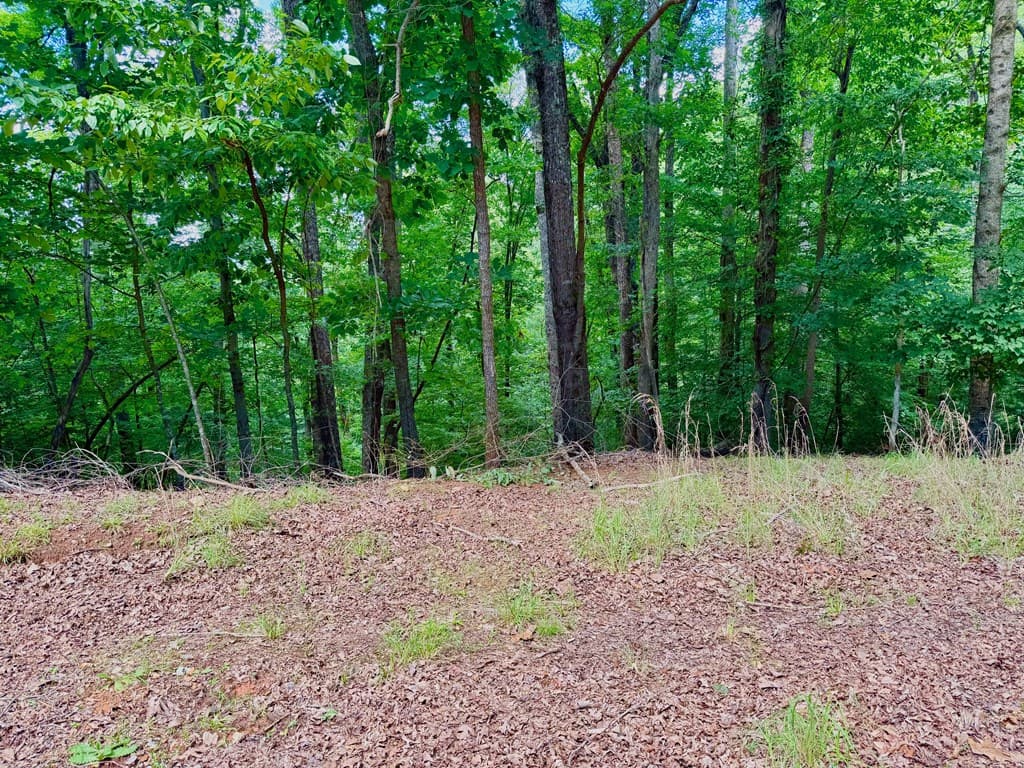 2246 Palisade Drive, Ellijay GA 30540 - Photo