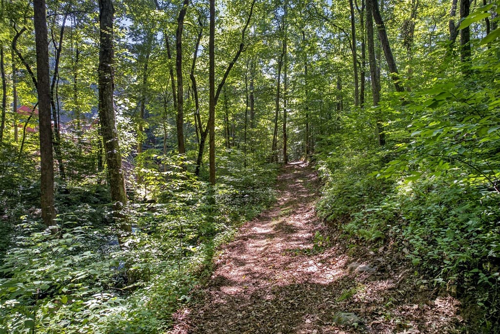 408 Mountain Creek Way, Ellijay GA 30536 - Photo