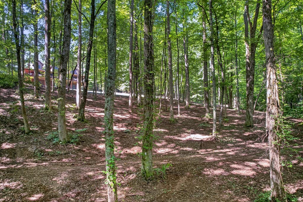 408 Mountain Creek Way, Ellijay GA 30536 - Photo