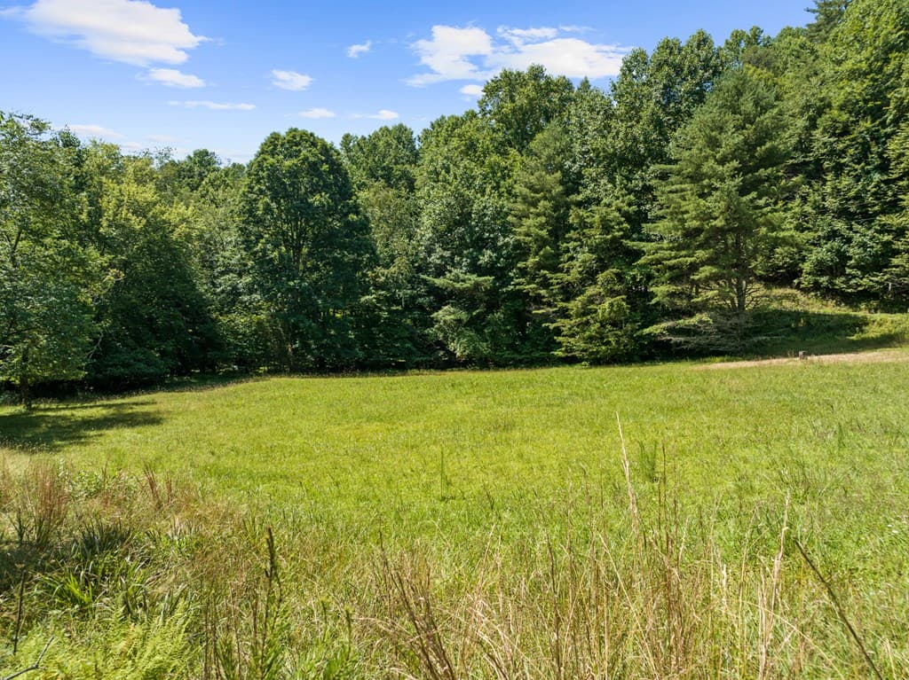 Lot 8 Tipton Court, Cherry Log GA 30522 - Photo