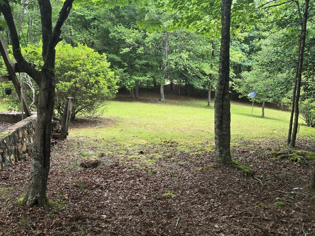 64 Green Oak Road, Warne NC 28909 - Photo