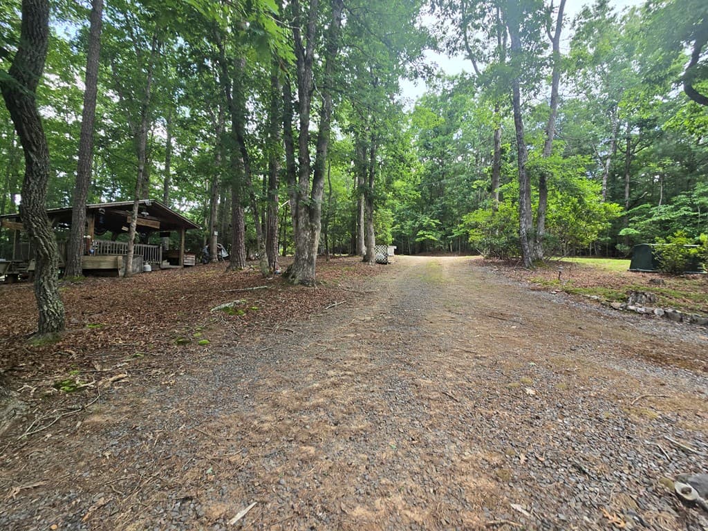 64 Green Oak Road, Warne NC 28909 - Photo
