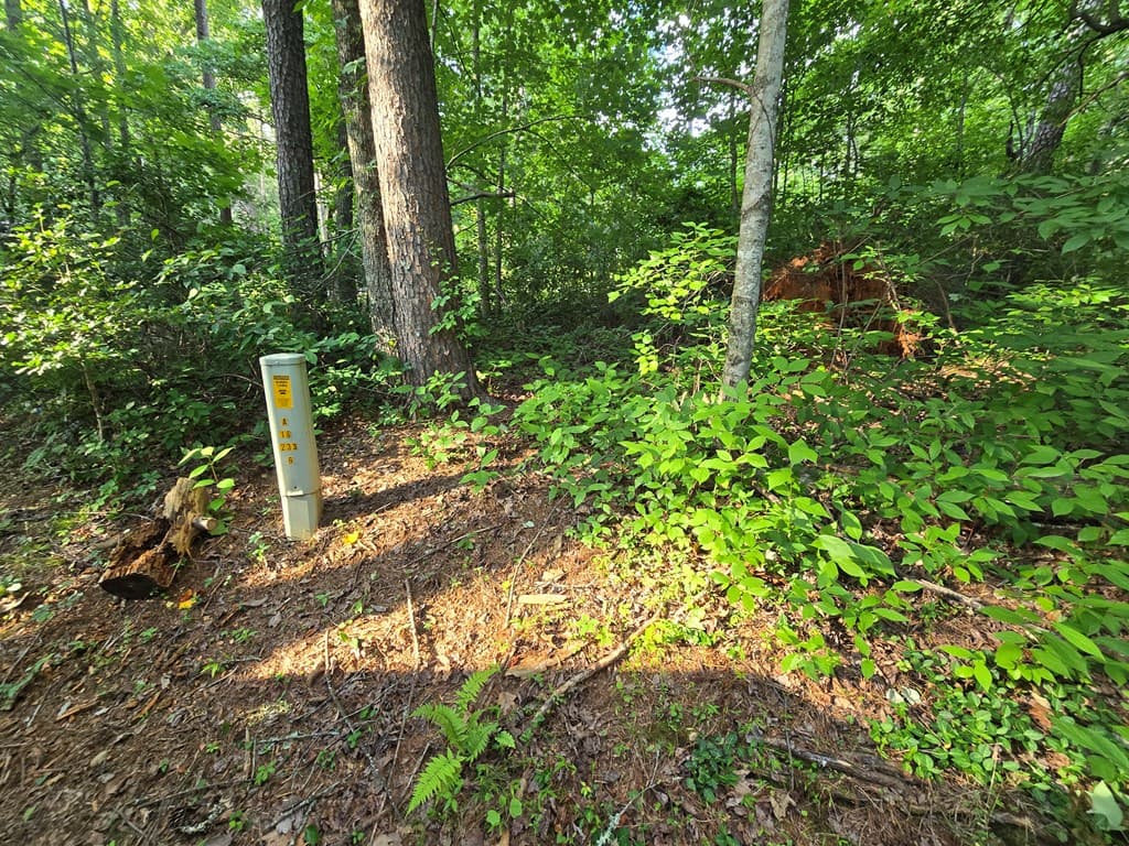 000 Colwell Church Road, Epworth GA 30541 - Photo