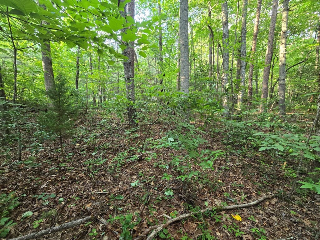 000 Colwell Church Road, Epworth GA 30541 - Photo