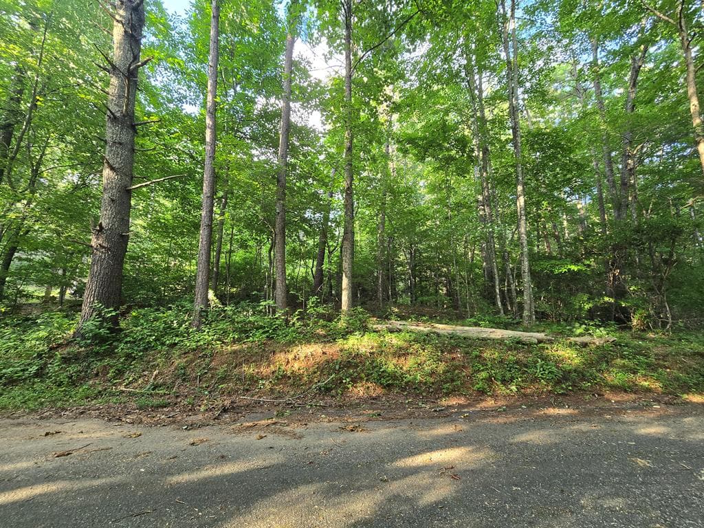 000 Colwell Church Road, Epworth GA 30541 - Primary photo