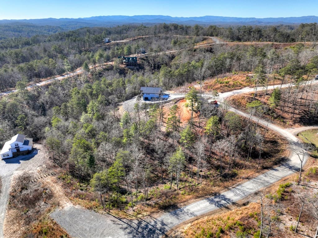 lot 16 Mountain Laurel Ridge, Mineral Bluff GA 30559 - Photo