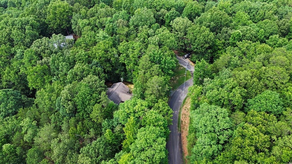 1240 Camp Branch Road, Ellijay GA 30540 - Photo