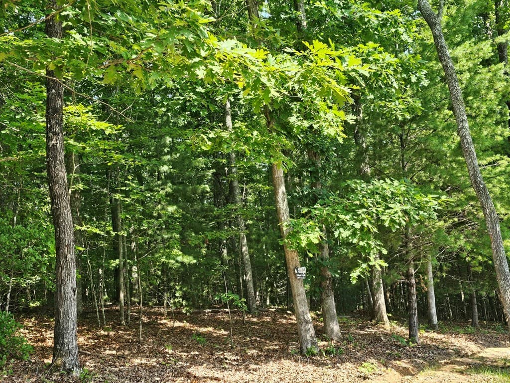 31 Acres Upper Bear Paw Road, Murphy NC 28906 - Photo