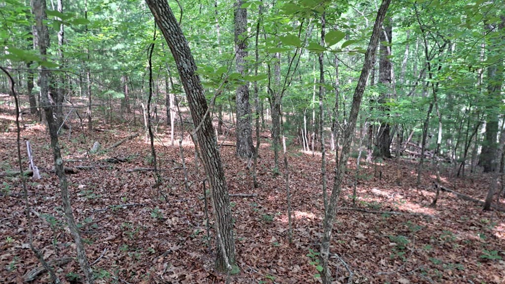 31 Acres Upper Bear Paw Road, Murphy NC 28906 - Photo
