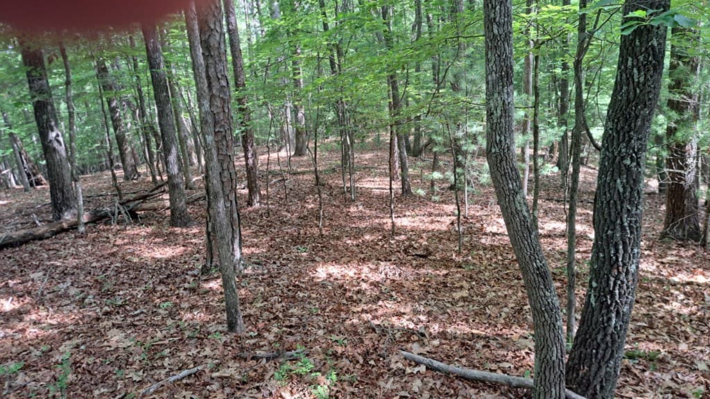 31 Acres Upper Bear Paw Road, Murphy NC 28906 - Photo