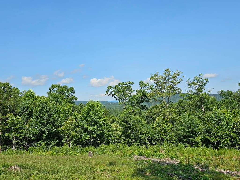 31 Acres Upper Bear Paw Road, Murphy NC 28906 - Photo