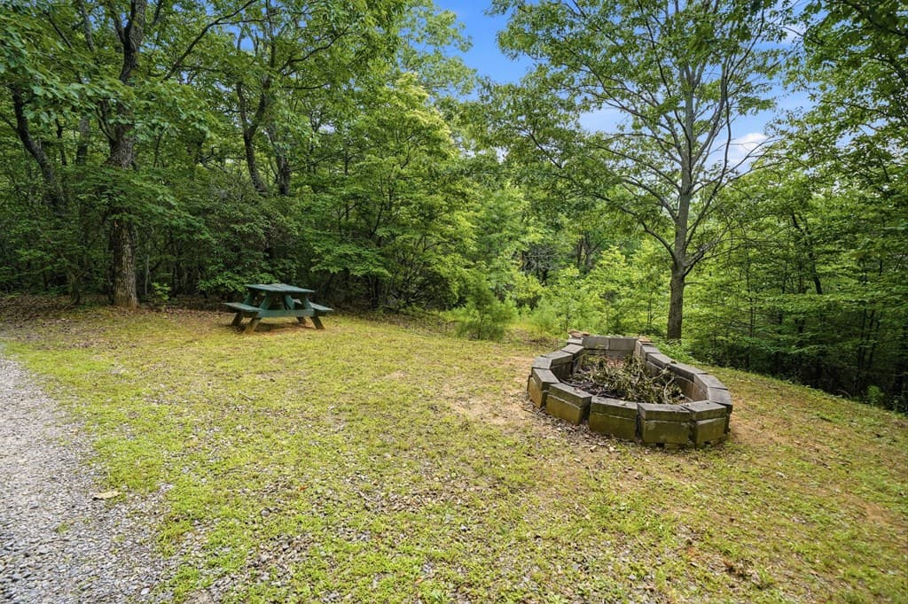 714 Clearview Drive, Talking Rock GA 30175 - Photo