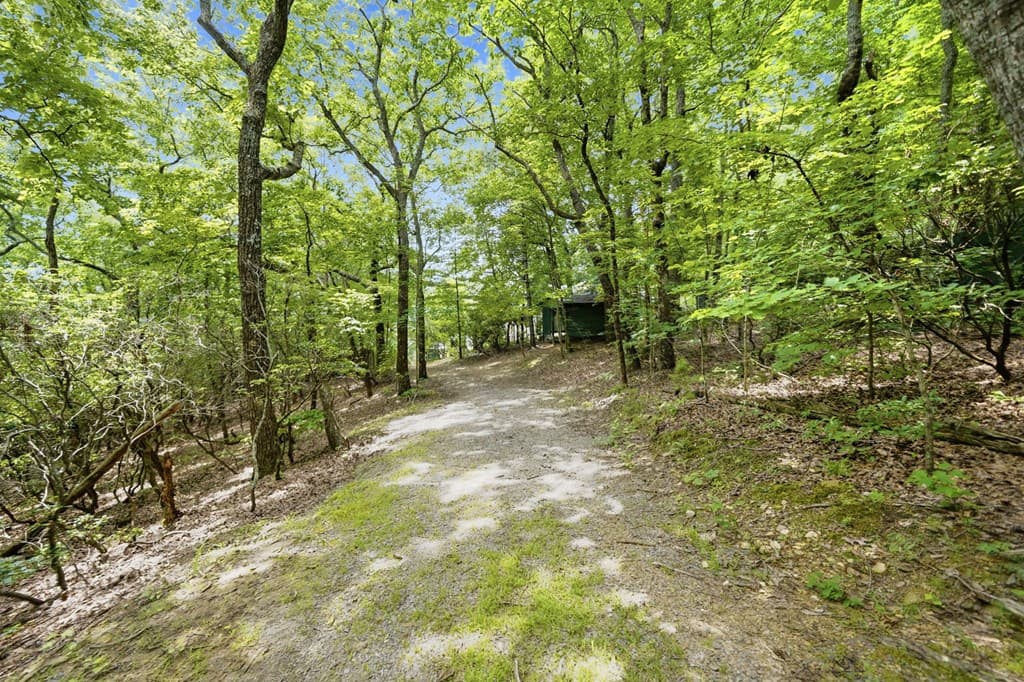 714 Clearview Drive, Talking Rock GA 30175 - Photo