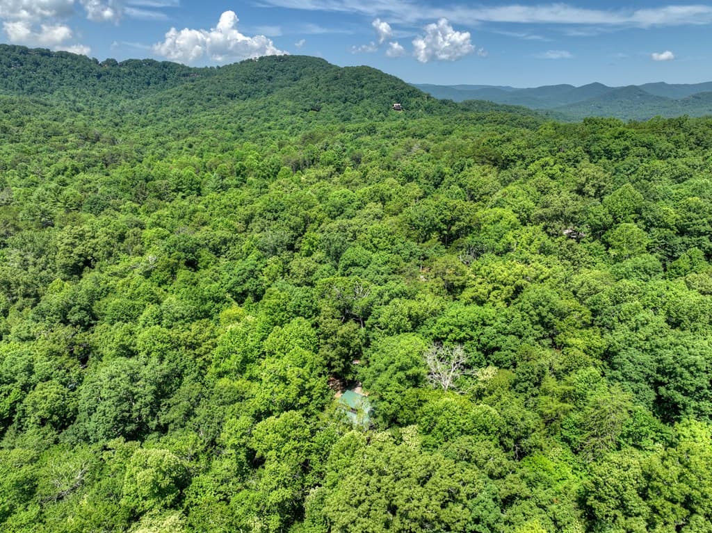 59 Oak Lane, Blue Ridge GA 30513 - Photo