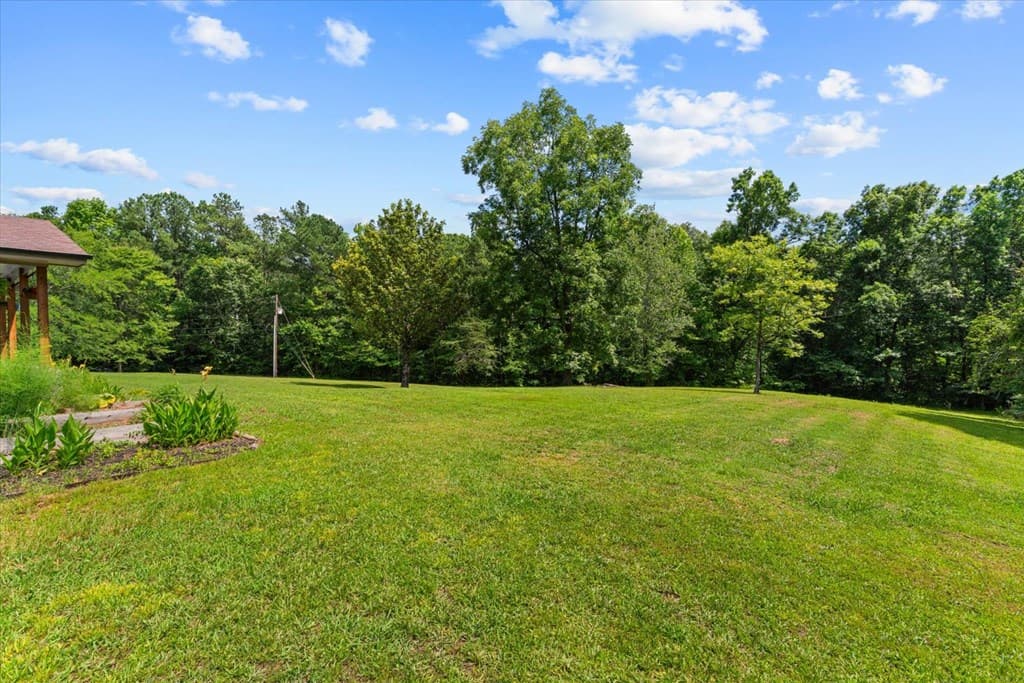 253 Love Drive, Chatsworth GA 30705 - Photo