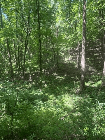 10.96 Ac Paramount Trail, Ellijay GA 30536 - Photo