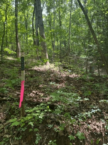 10.96 Ac Paramount Trail, Ellijay GA 30536 - Photo