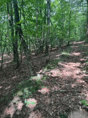 10.96 Ac Paramount Trail, Ellijay GA 30536 - Photo