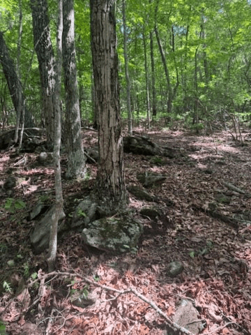 10.96 Ac Paramount Trail, Ellijay GA 30536 - Photo