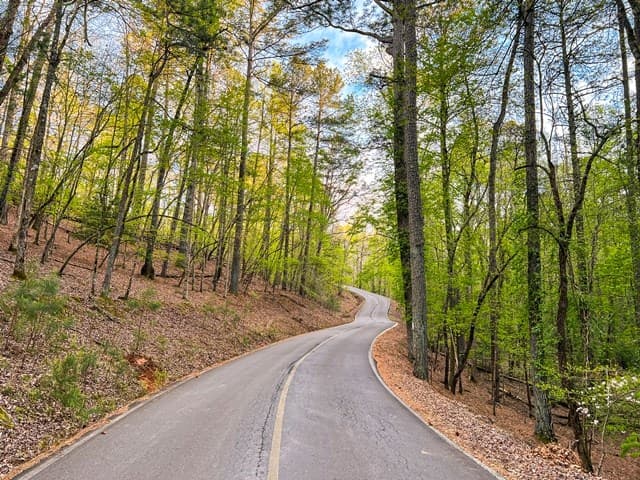7 Addle Court, Ellijay GA 30540 - Photo