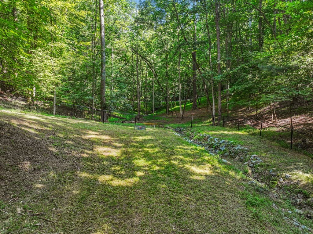 158 Bamby Lane, Ellijay GA 30540 - Photo