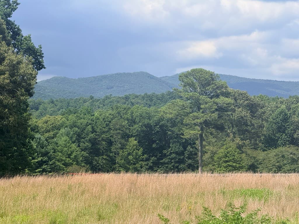 LT 6 Spring Camp Road, Ellijay GA 30536 - Photo