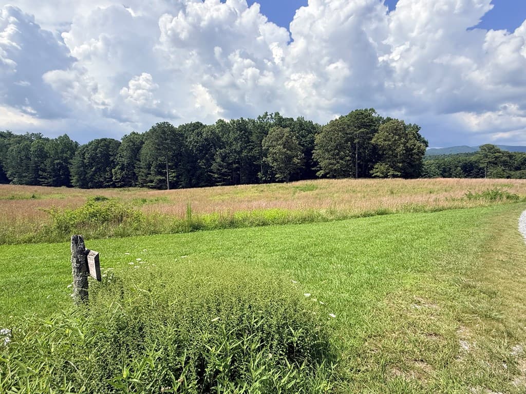 LT 6 Spring Camp Road, Ellijay GA 30536 - Photo