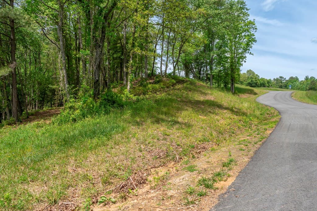 Lot 5-5A Waterstone Way, Mineral Bluff GA 30559 - Photo