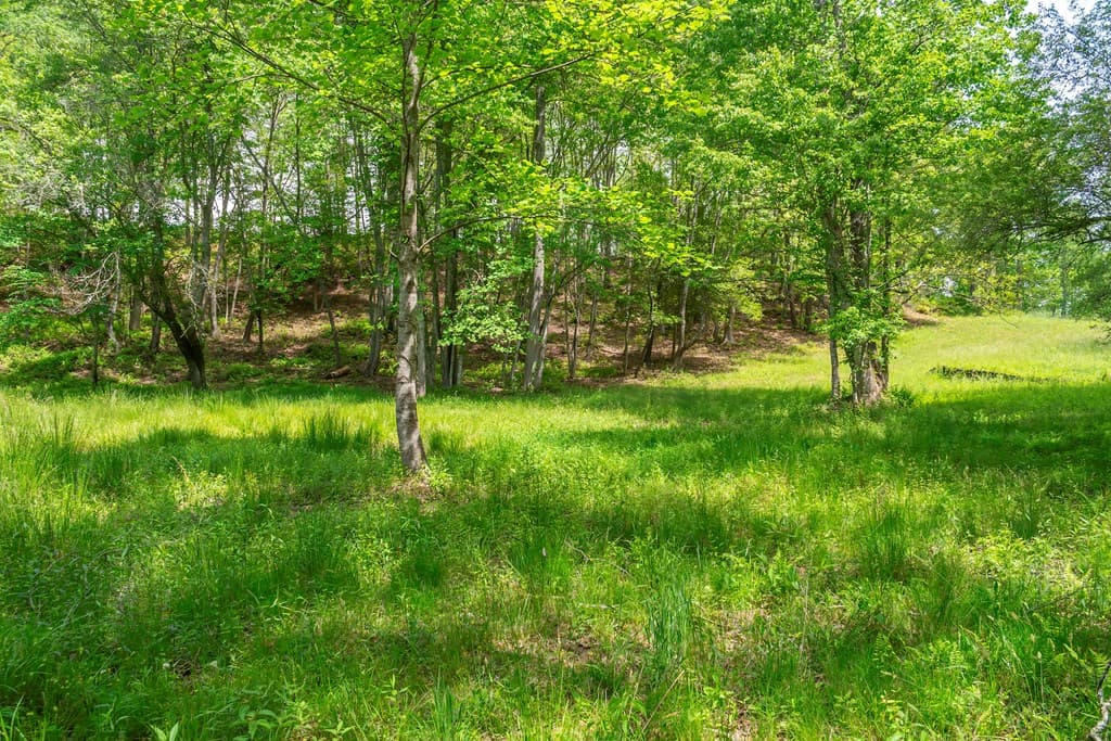 Lot 5-5A Waterstone Way, Mineral Bluff GA 30559 - Photo