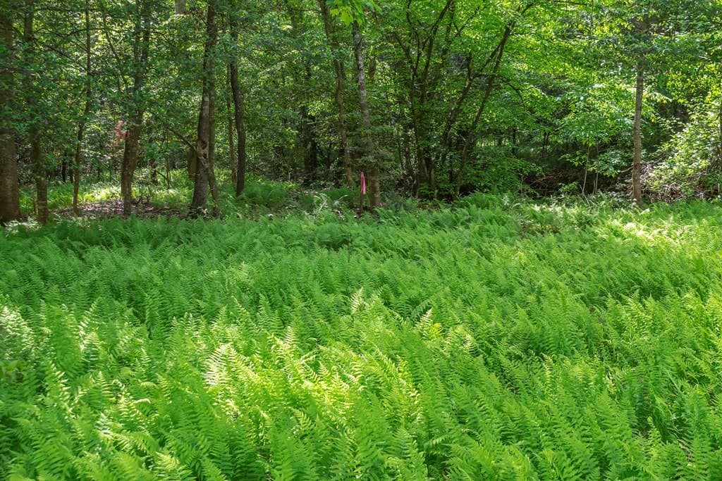 Lot 5-5A Waterstone Way, Mineral Bluff GA 30559 - Photo