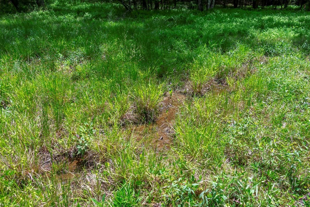 Lot 5-5A Waterstone Way, Mineral Bluff GA 30559 - Photo