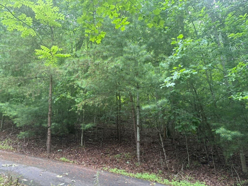 99 Nelson Circle, Blairsville GA 30512 - Photo