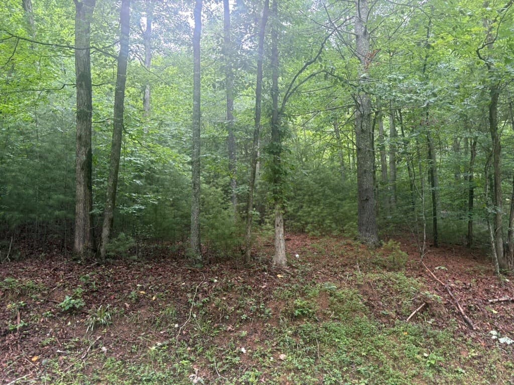 99 Nelson Circle, Blairsville GA 30512 - Photo