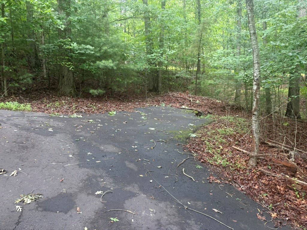 99 Nelson Circle, Blairsville GA 30512 - Photo
