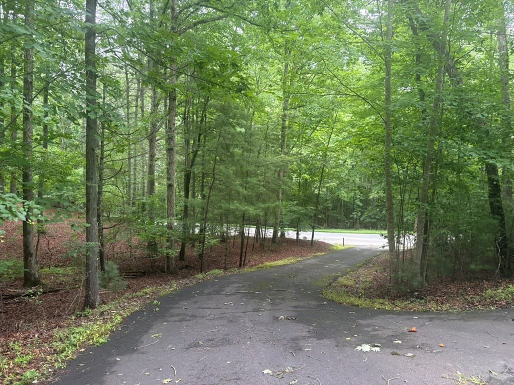 99 Nelson Circle, Blairsville GA 30512 - Photo