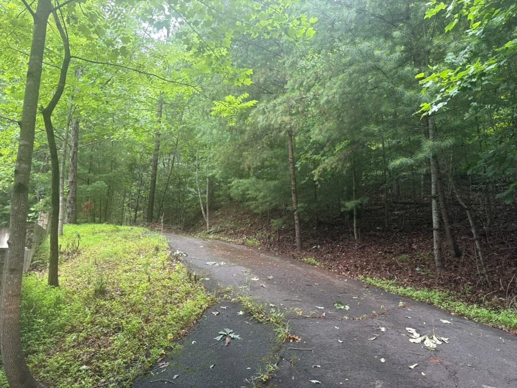99 Nelson Circle, Blairsville GA 30512 - Photo