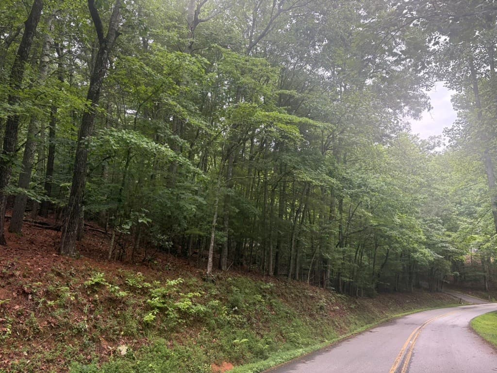 99 Nelson Circle, Blairsville GA 30512 - Photo