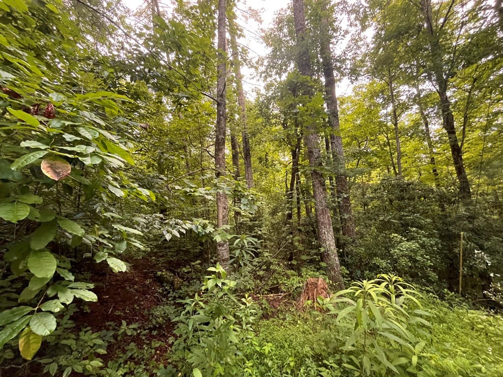 Lt 33 Brook Court, Ellijay GA 30540 - Photo