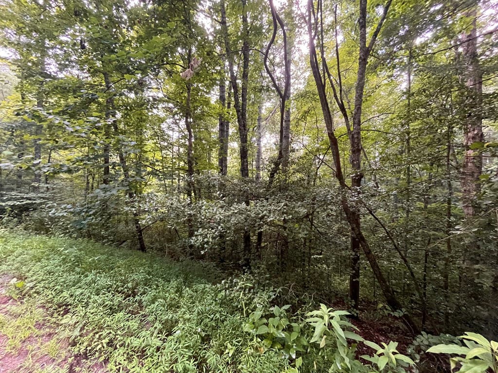 Lt 33 Brook Court, Ellijay GA 30540 - Photo
