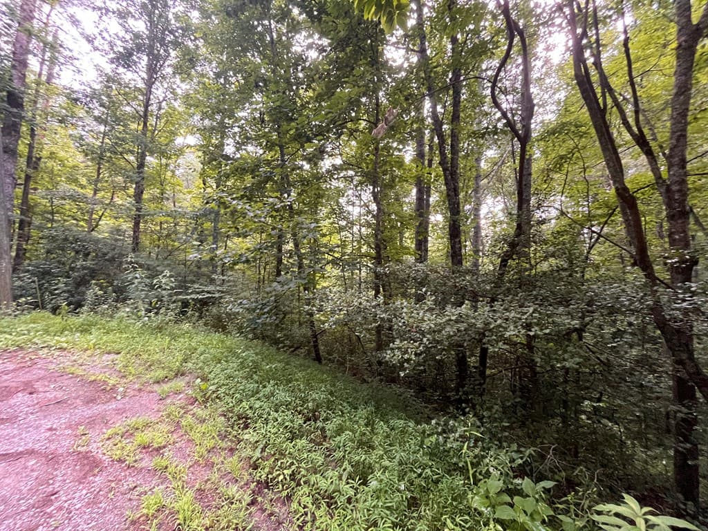Lt 33 Brook Court, Ellijay GA 30540 - Photo