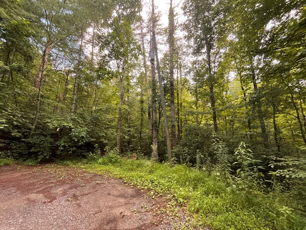 Lt 33 Brook Court, Ellijay GA 30540 - Photo