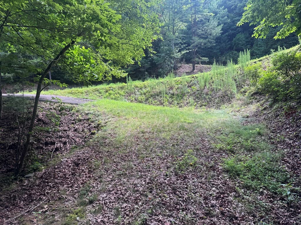 39 Fiddlers Way, Brasstown NC 28904 - Photo