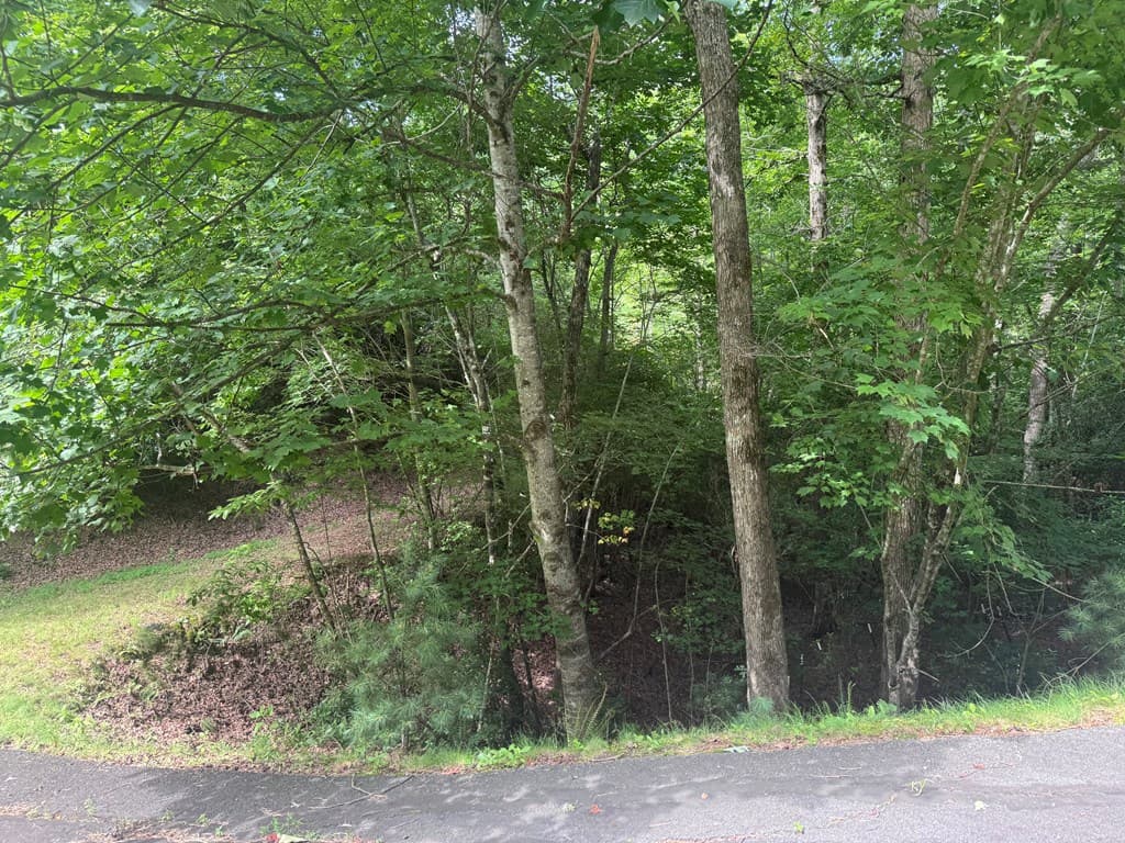 39 Fiddlers Way, Brasstown NC 28904 - Photo