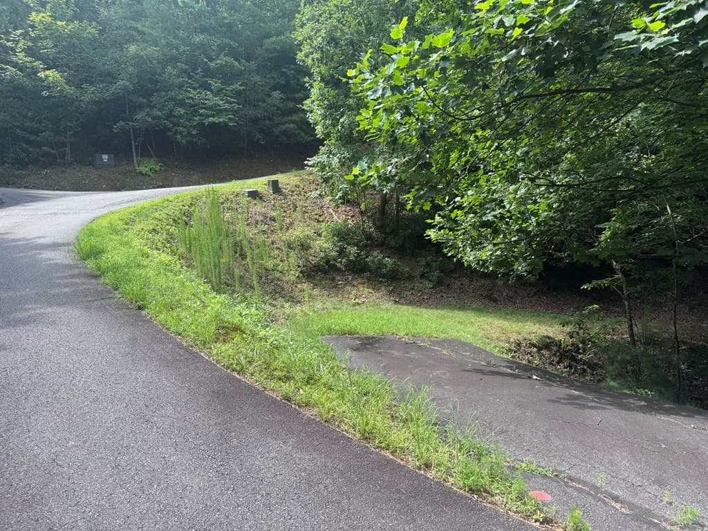 39 Fiddlers Way, Brasstown NC 28904 - Photo