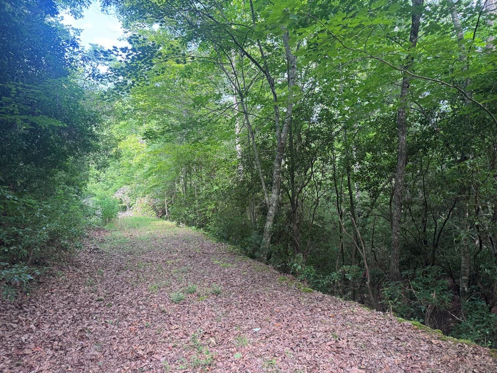 39 Fiddlers Way, Brasstown NC 28904 - Photo