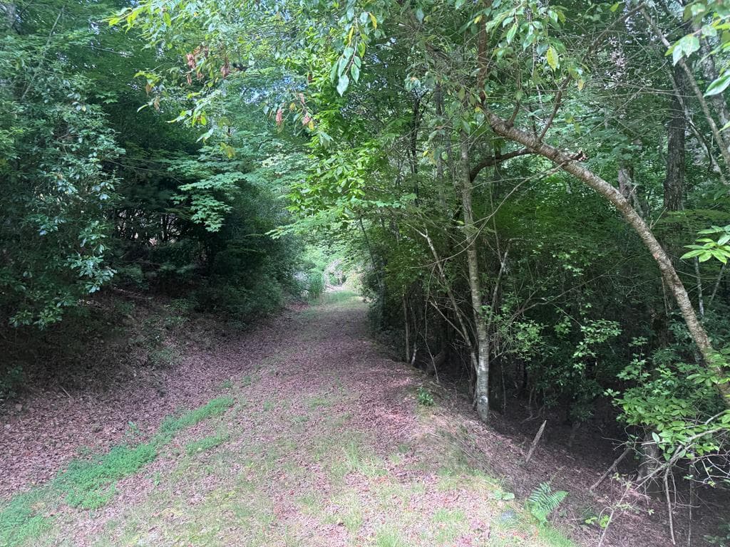 39 Fiddlers Way, Brasstown NC 28904 - Primary photo