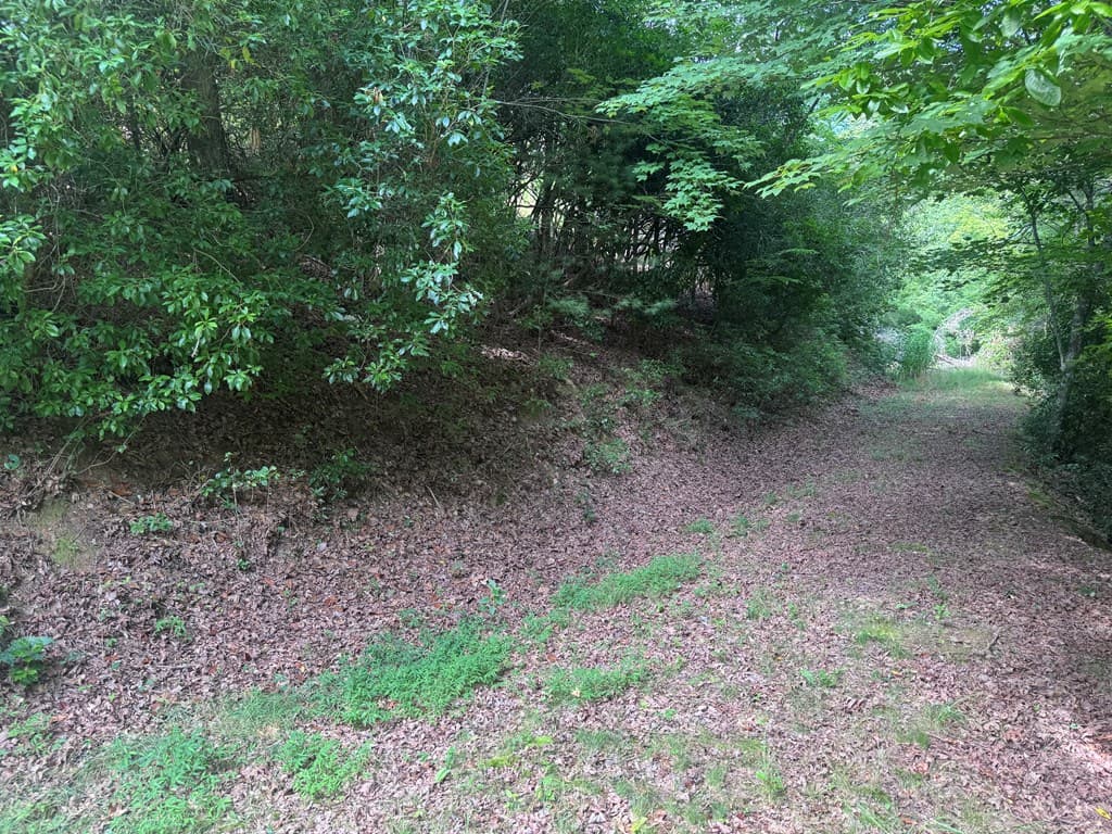 39 Fiddlers Way, Brasstown NC 28904 - Photo