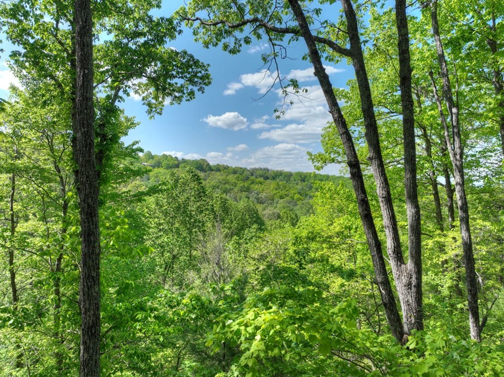 536 Lakeview Road, Blue Ridge GA 30513 - Photo
